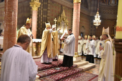 biskupsko-redjenje-Ivan-Curic (262)