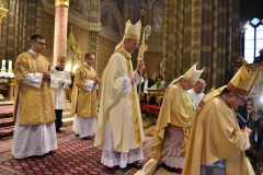 biskupsko-redjenje-Ivan-Curic (266)
