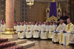 biskupsko-redjenje-Ivan-Curic (82)