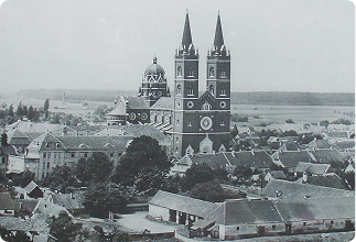 Historic European town with a large twin-spire church dominating the center.